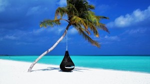maldives, palm, beach, relaxation, the rest, the ocean, sand, resort - wallpapers, picture