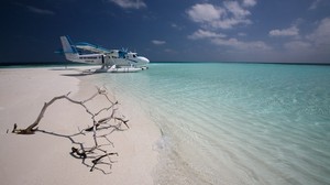 maldives, the plane, shore, driftwood - wallpapers, picture