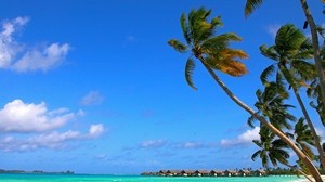 maldiverna, tropikerna, stranden, sommaren
