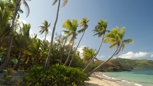 maldives, tropics, the beach, palm trees - wallpapers, picture