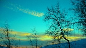 March, winter, snow, frost, nature, cold, evening, February, sky, blue