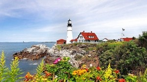 lighthouse, shore, rocks, flowers, grass, berry, landscape, sea