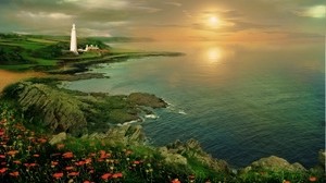 lighthouse, sunset, sea, coast, height, poppies, flowers