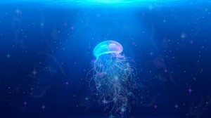 medusa, mundo submarino, nadar, tentáculos