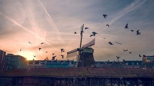 mill, birds, buildings, sky