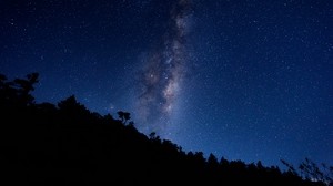 milky way, starry sky, trees - wallpapers, picture
