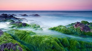 moss, stones, growths, sea, haze, steam, evaporation, cool - wallpapers, picture