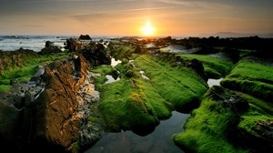 moss, rocks, sunset