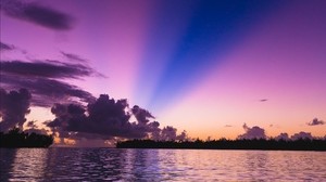 sea, trees, sunset, sky