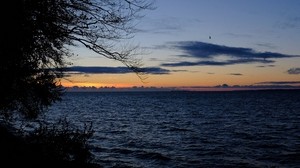 mar, horizonte, ramas, noche, ondas