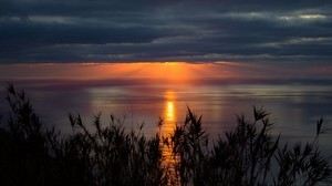sea, horizon, sunset, clouds, grass, dusk - wallpapers, picture
