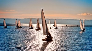 sea, sailboats, sun, clear, day, reflection - wallpapers, picture