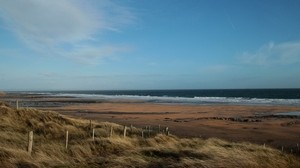 mar, playa, hierba, viento