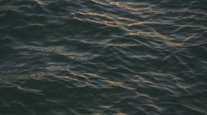 sea, surface, ripples, dark