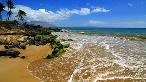 sea, surf, sand, trees - wallpapers, picture