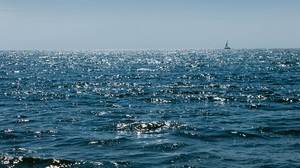 sea, waves, ship, sail, horizon