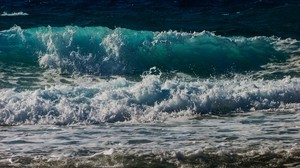 sea, waves, surf, shore