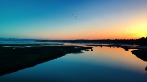 mar, puesta de sol, costa, pájaros