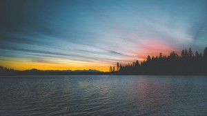 sea, sunset, trees, shore