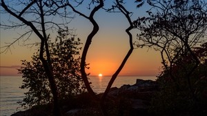 sea, sunset, branches, the sun, sunset, horizon - wallpapers, picture