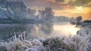 frost, river, morning, grass, trees, hoarfrost, sky - wallpapers, picture