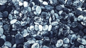 piedras de mar, ovales, blanco y negro (bw) - wallpapers, picture