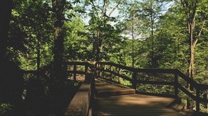 bridge, trees, foliage