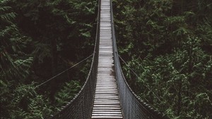 bridge, cable bridge, suspension bridge, forest, trees, height