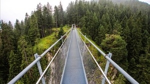 bridge, forest, trees - wallpapers, picture