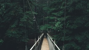 bridge, forest, fog, suspension bridge, cable bridge