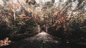 bridge, autumn, foliage