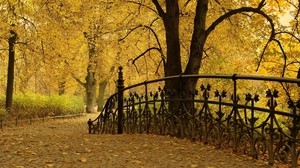 puente, barandilla, parque, otoño, árboles, hojas