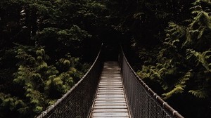 ponte, fuoribordo, alberi, foresta, buio