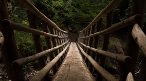 bridge, descent, trees