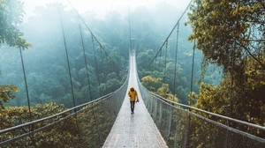 桥，悬索桥，孤独，步行，森林
