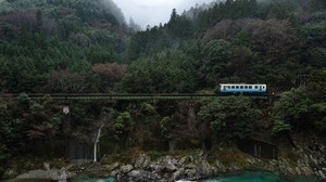 bridge, railway, trees, river, stones