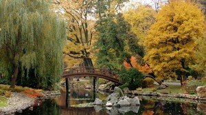 bridge, pond, stones, willow, tranquility - wallpapers, picture
