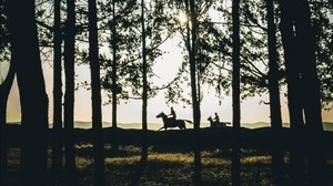 ryttare, silhuetter, skog, solnedgång, landskap, träd, hästar