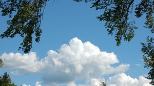 sky, cloudy, tree, landscape