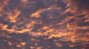 sky, clouds, evening, pink, yellow, atmospheric