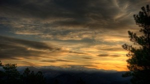 sky, clouds, aerial, tree, evening