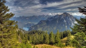 sky, peaks, coniferous forest, height, colors - wallpapers, picture