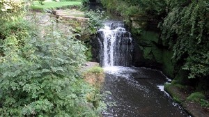 newcastle upon tyne, england, waterfall, vegetation, greens
