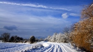 Nederländerna, väg, träd, himmel, moln, snö, klart