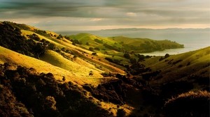 lowland, trees, hills - wallpapers, picture