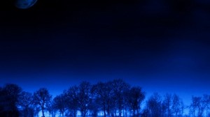 night, moon, trees, stars, dream - wallpapers, picture