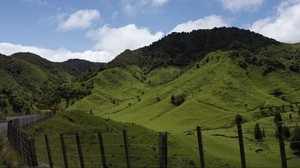 ニュージーランド、丘、山、草