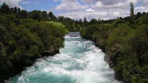 new zealand, river, course, trees