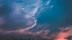 雲、空、日没、夕暮れ、鳥、曇り