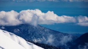 clouds, volumetric, mountains, forest, sky, height - wallpapers, picture